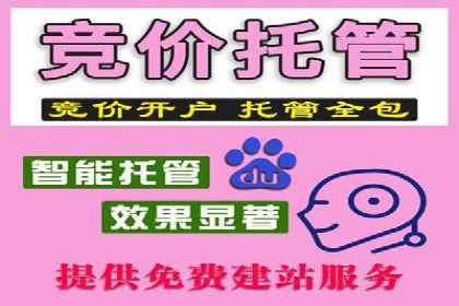 探索百度推广托管的奥秘：成功案例揭秘